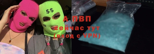 трава Вязьма
