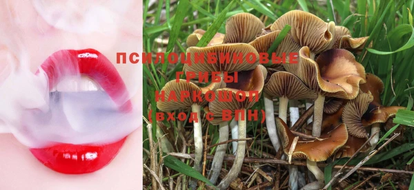 MDMA Premium VHQ Вяземский