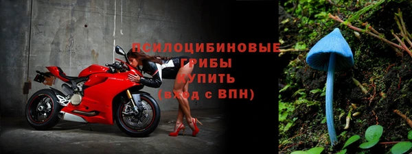 трава Вязьма