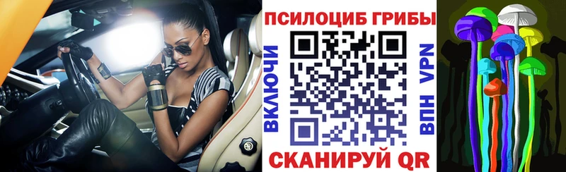 Галлюциногенные грибы Cubensis сколько стоит мега вход Благовещенск